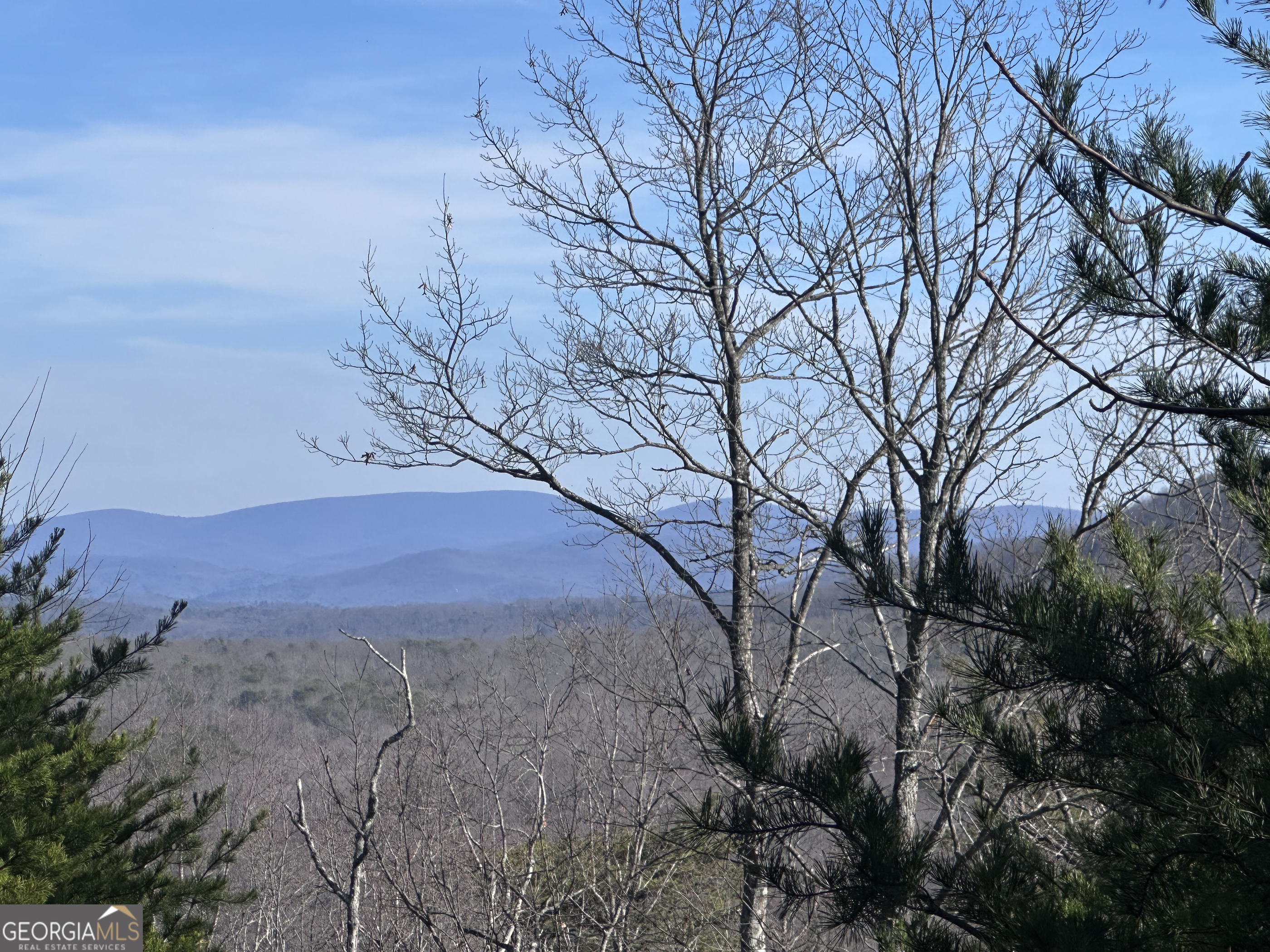 246 Andes Ridge Jasper, GA 30143 - Photo 26 of 39 a view of a large yard with lots of bushes and trees