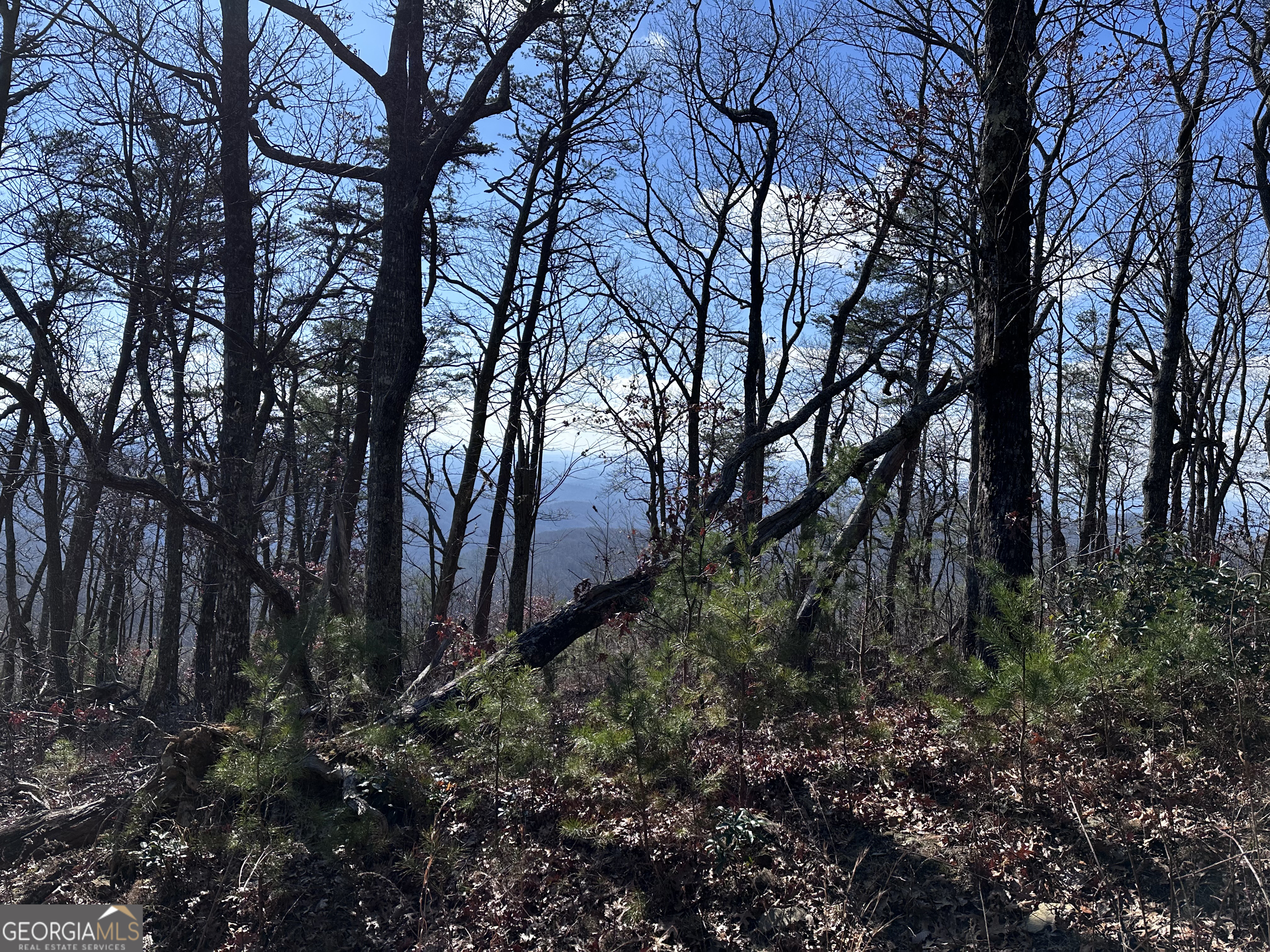 246 Andes Ridge Jasper, GA 30143 - Photo 27 of 39 a backyard of a house with lots of green space