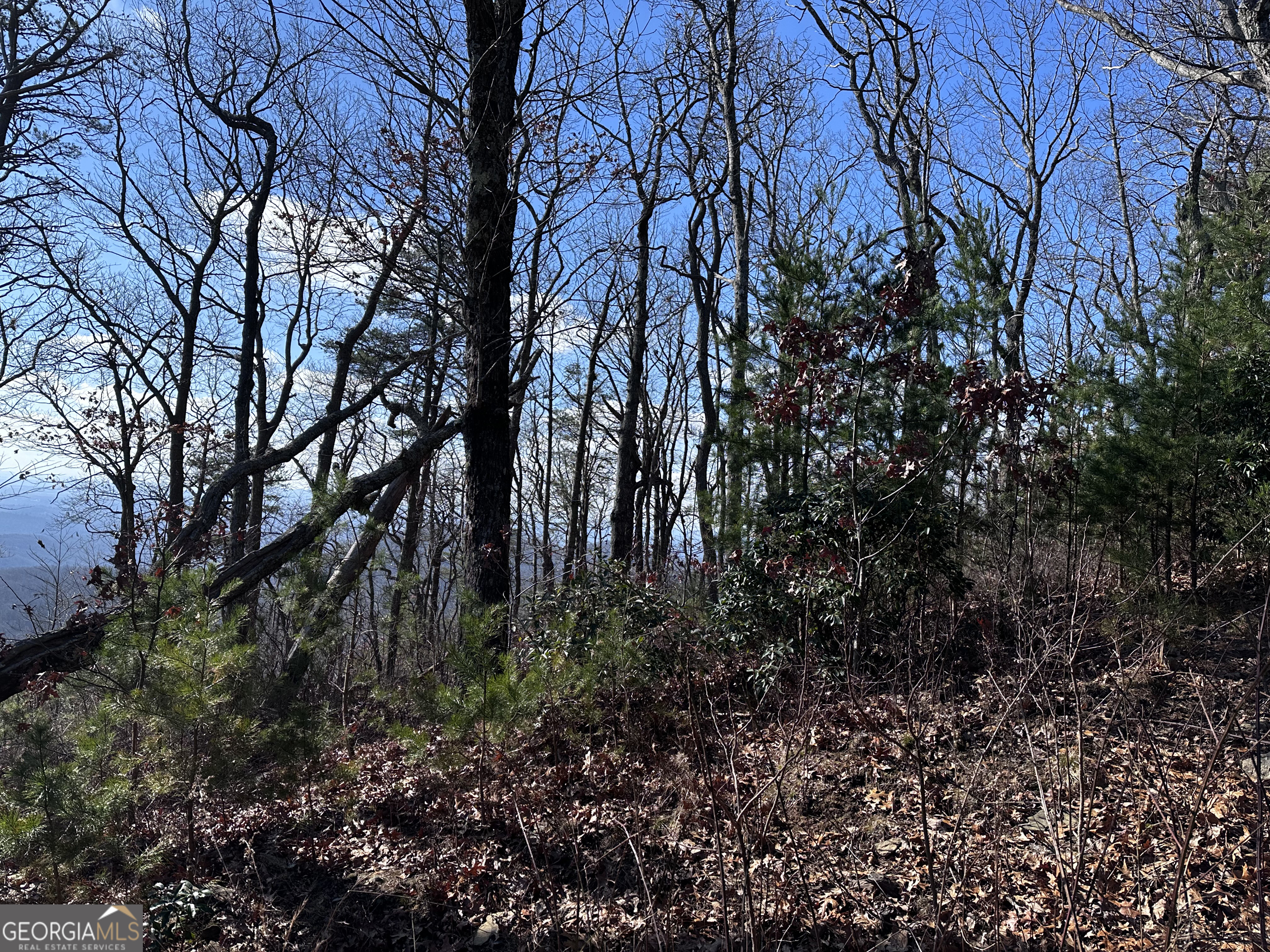 246 Andes Ridge Jasper, GA 30143 - Photo 28 of 39 a view of a yard