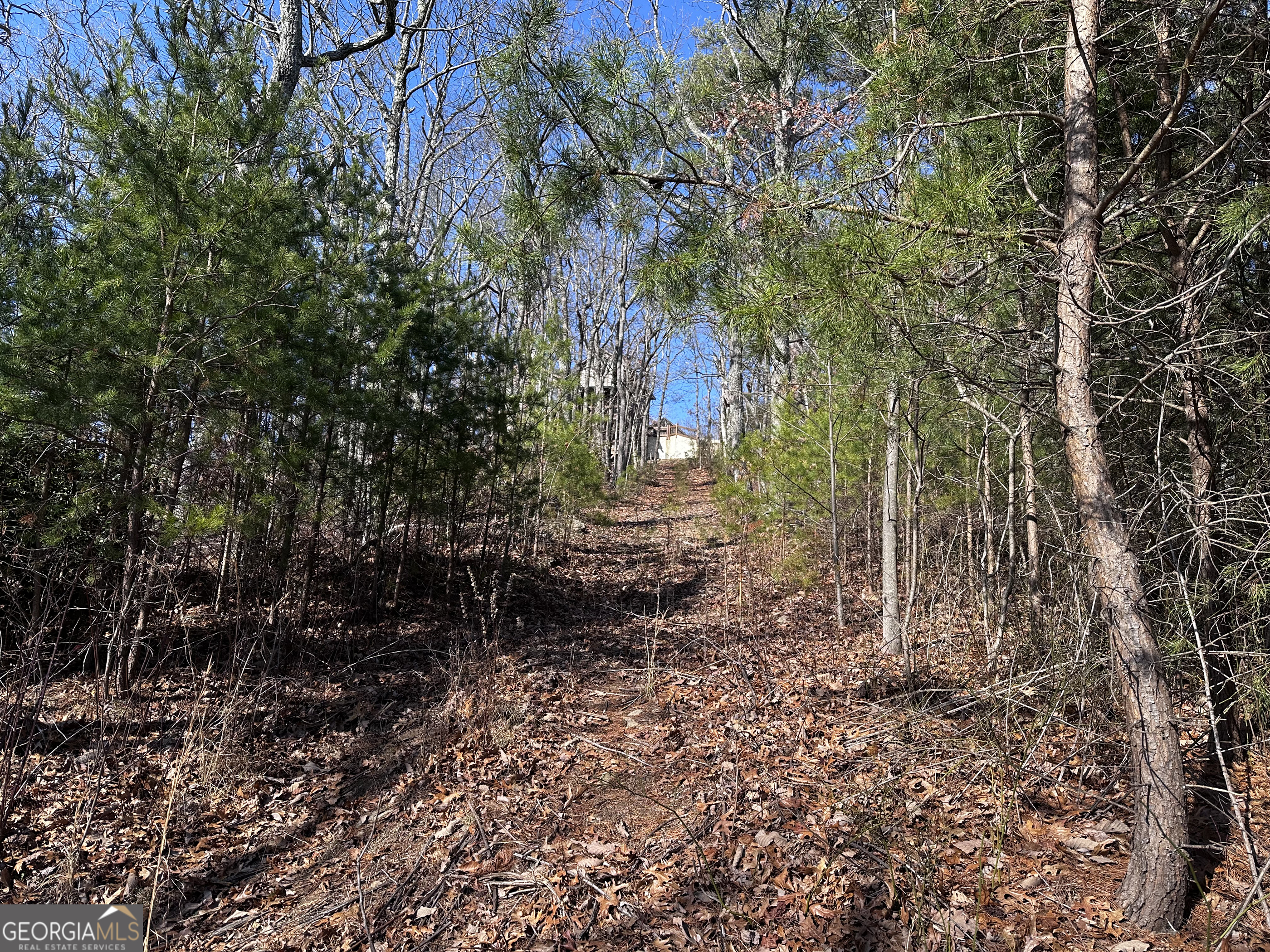 246 Andes Ridge Jasper, GA 30143 - Photo 29 of 39 a big yard with lots of green space