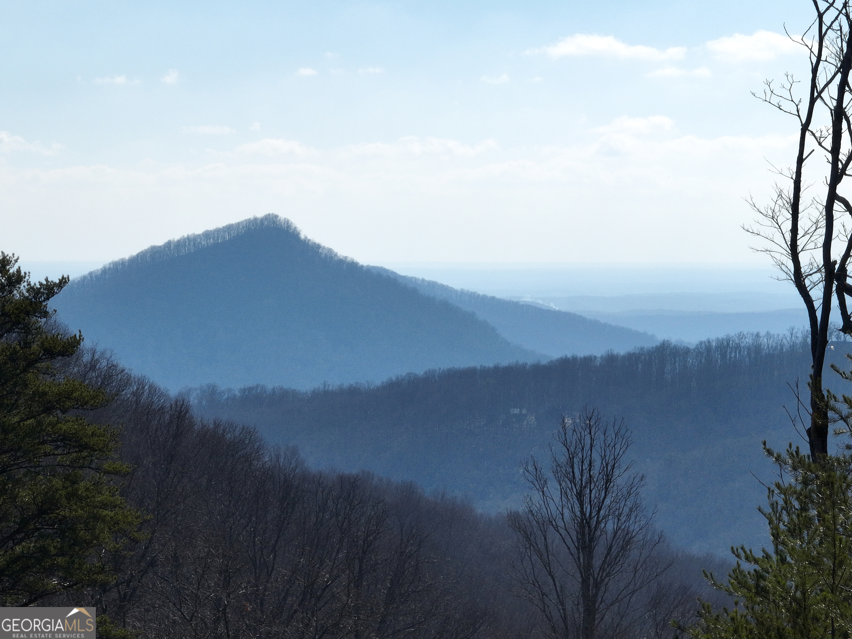 246 Andes Ridge Jasper, GA 30143 - Photo 3 of 39 a view of mountain with lake view