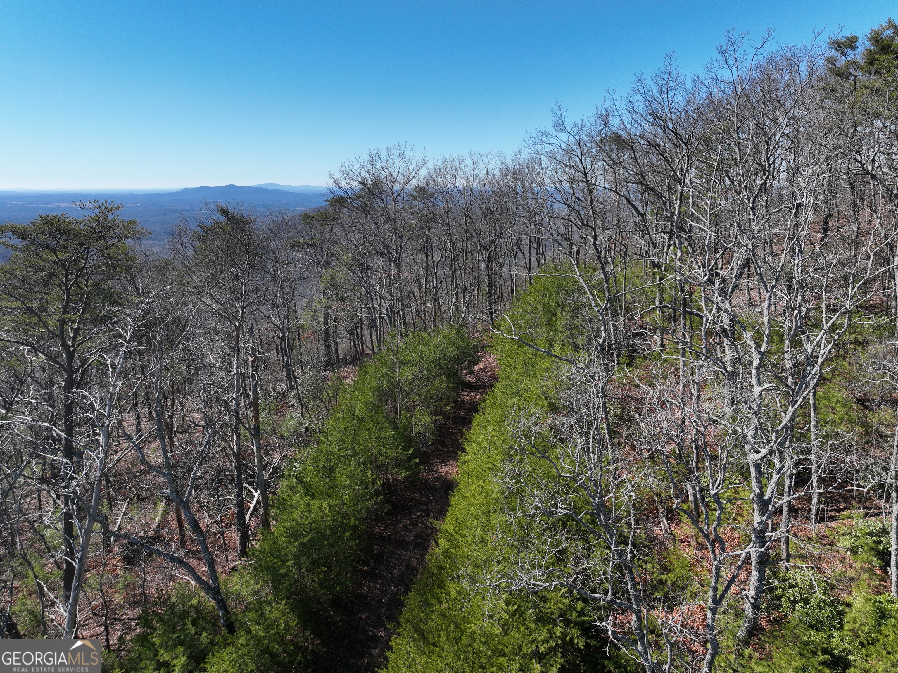 246 Andes Ridge Jasper, GA 30143 - Photo 31 of 39 a view of a city with lush green forest