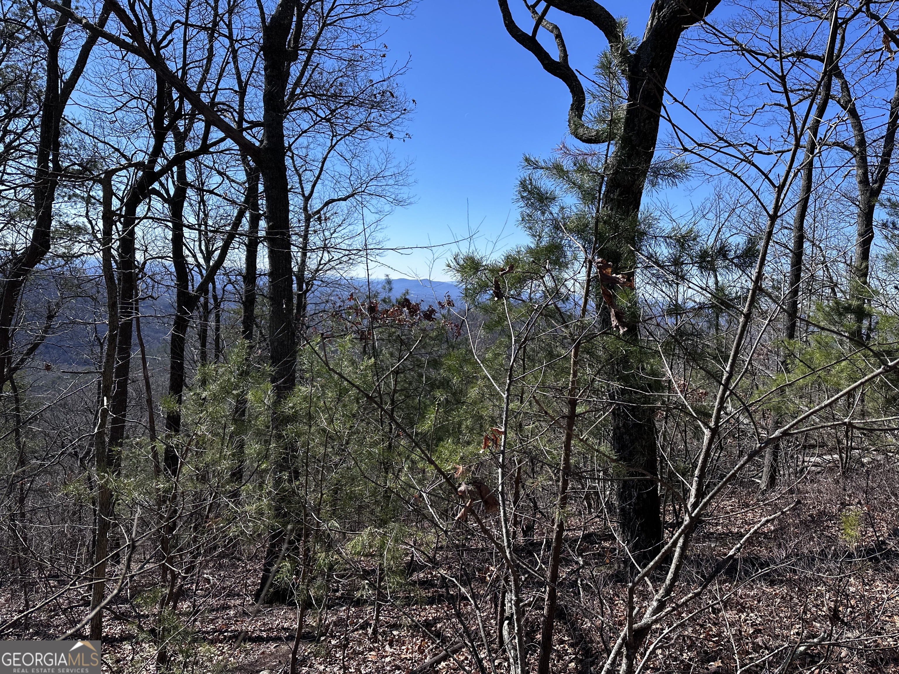 246 Andes Ridge Jasper, GA 30143 - Photo 36 of 39 a view of a tree in a yard