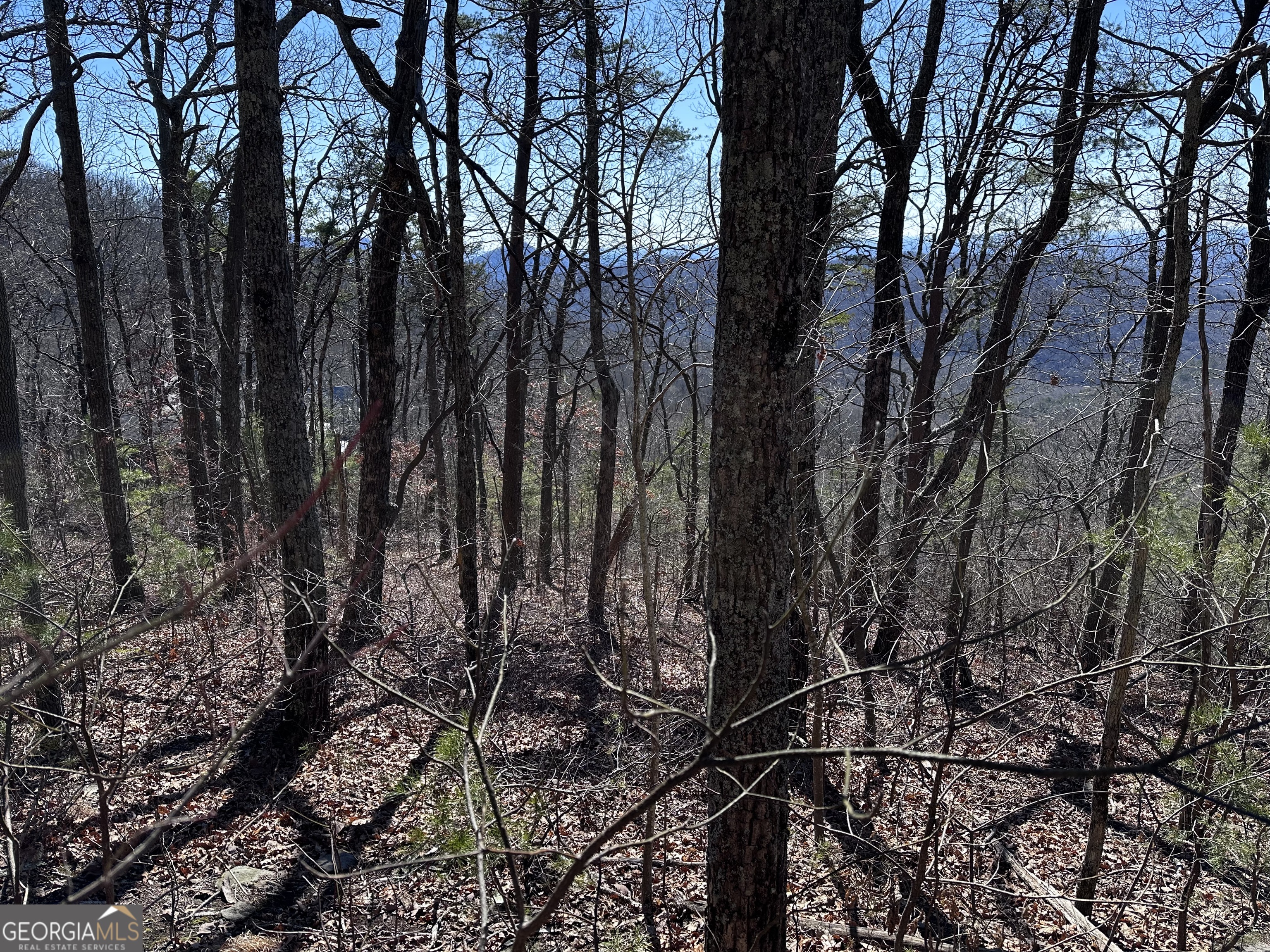 246 Andes Ridge Jasper, GA 30143 - Photo 37 of 39 a view of forest