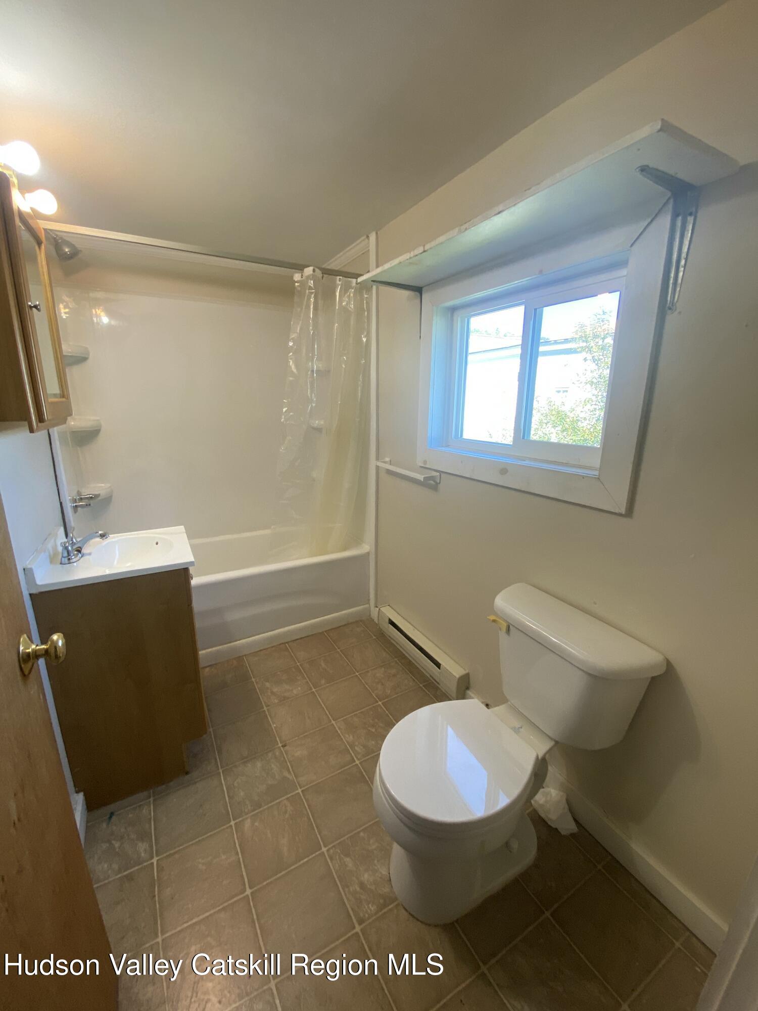 53654 Highway 30 Roxbury, NY 12474 - Photo 16 of 18 a bathroom with a toilet a sink and a mirror