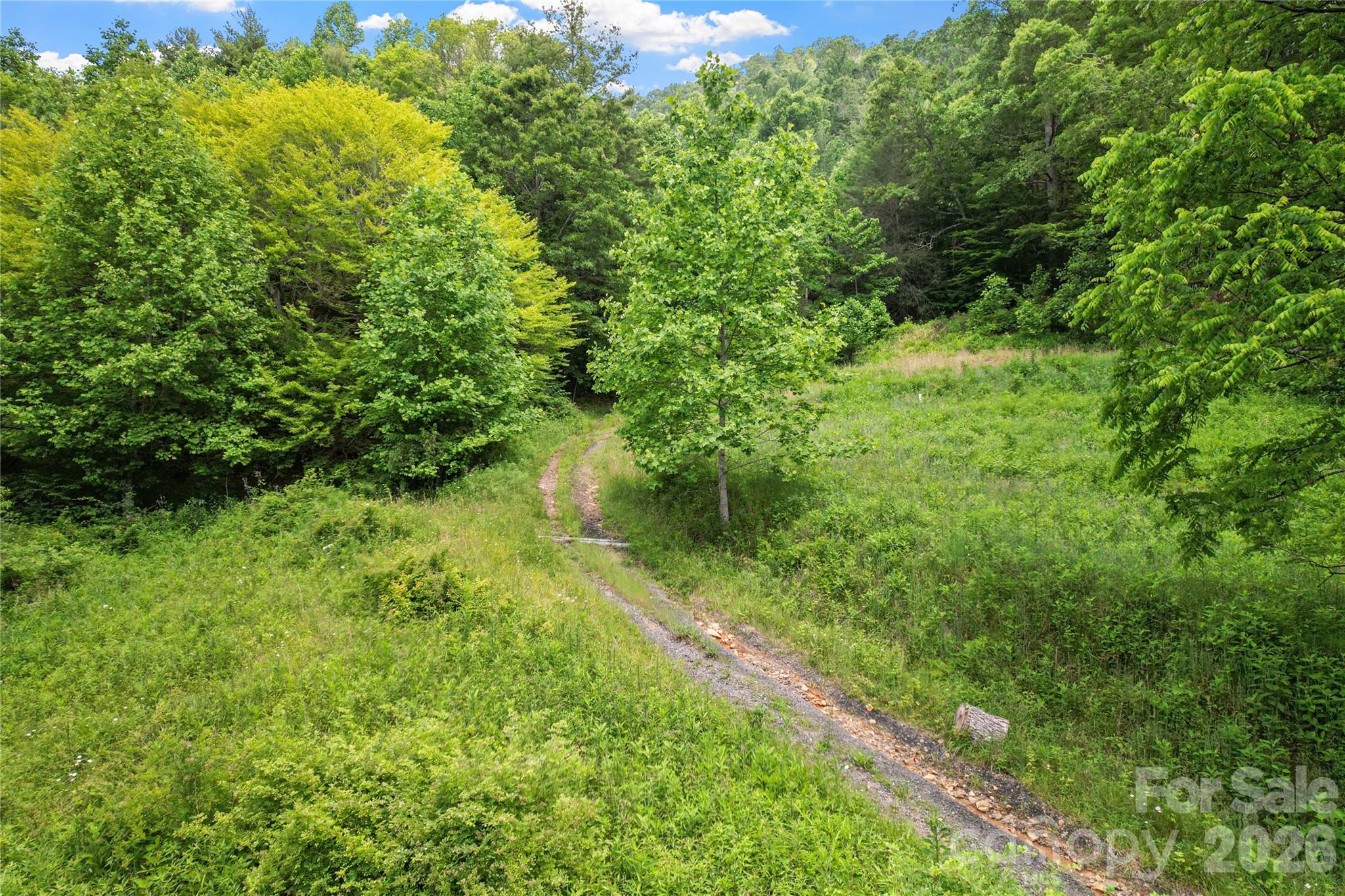 000 Bee Branch Road, Unit 14AC Bakersville, NC 28705 - Photo 11 of 19