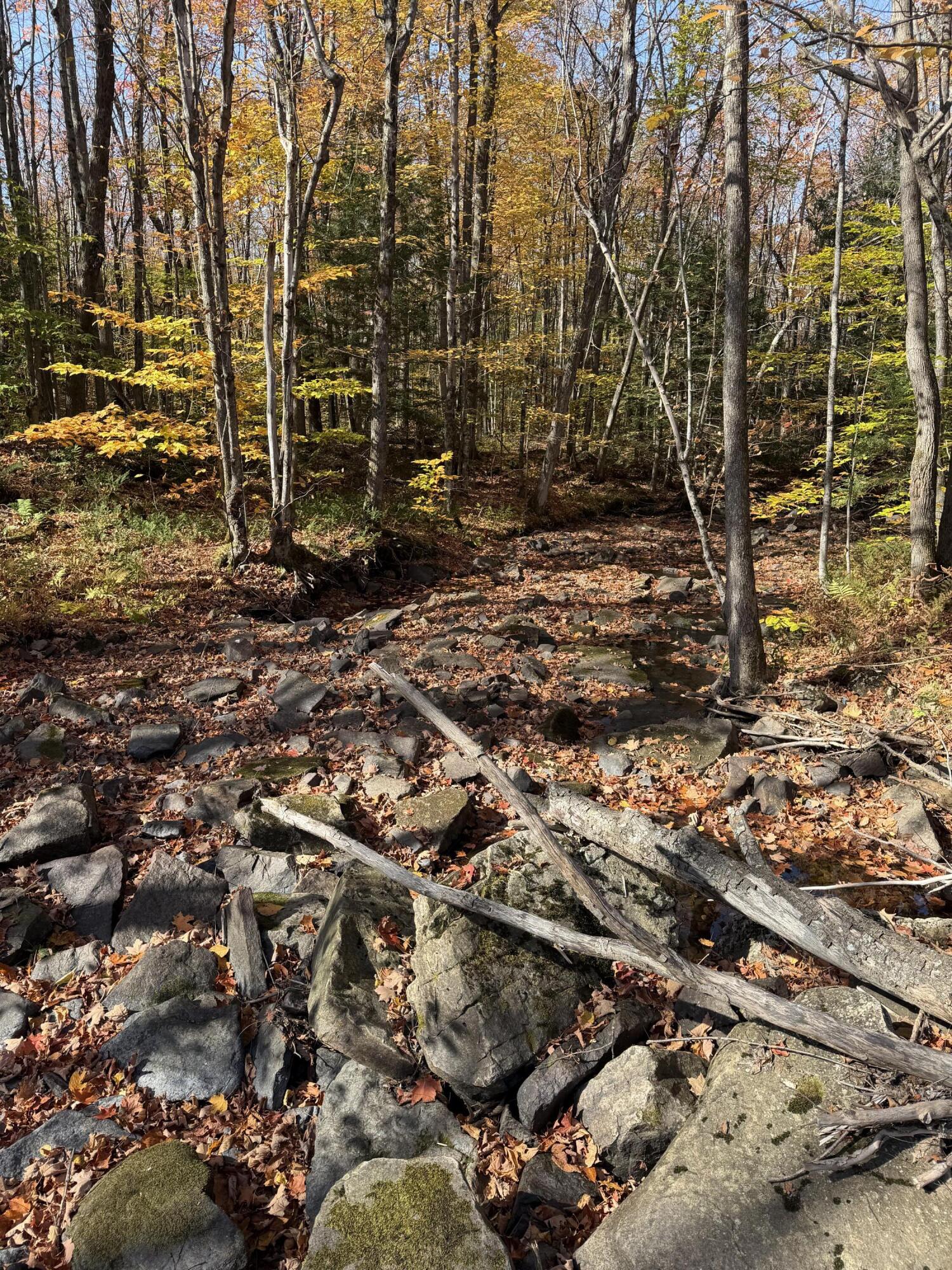 0 Rand Hill Road Morrisonville, NY 12962 - Photo 7 of 10