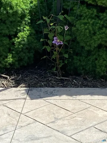 a backyard of a house with lots of green space