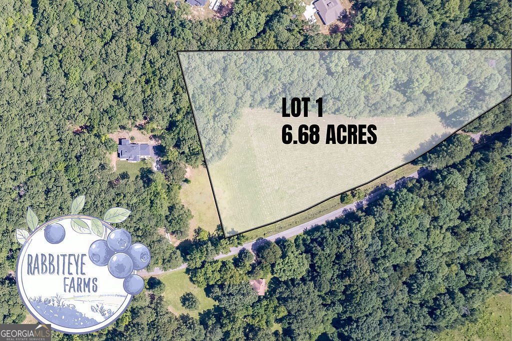 Lot 1 Haynes Road Moreland, GA 30259 - Photo 2 of 2 Gallery Image 2