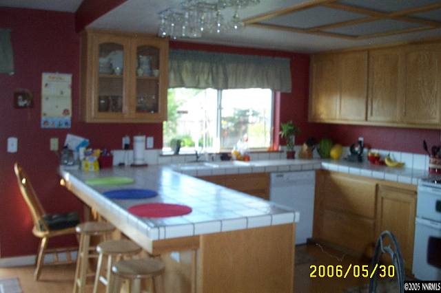 810 Bluerock Road Gardnerville, NV 89460 - Photo 3 of 9 Photo 3