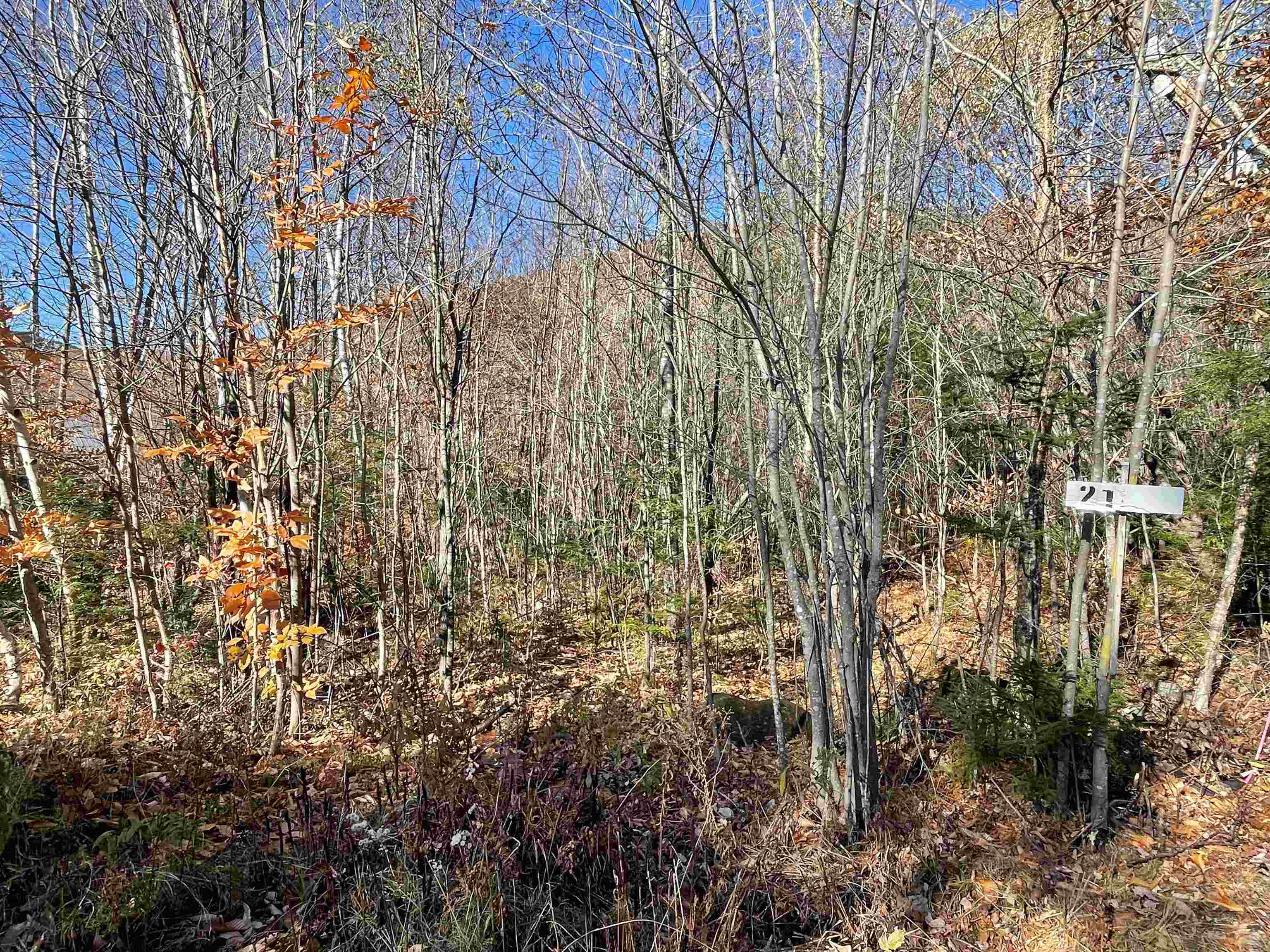 0 Adams Road, Unit 5 Jackson, NH 03846 - Photo 1 of 3