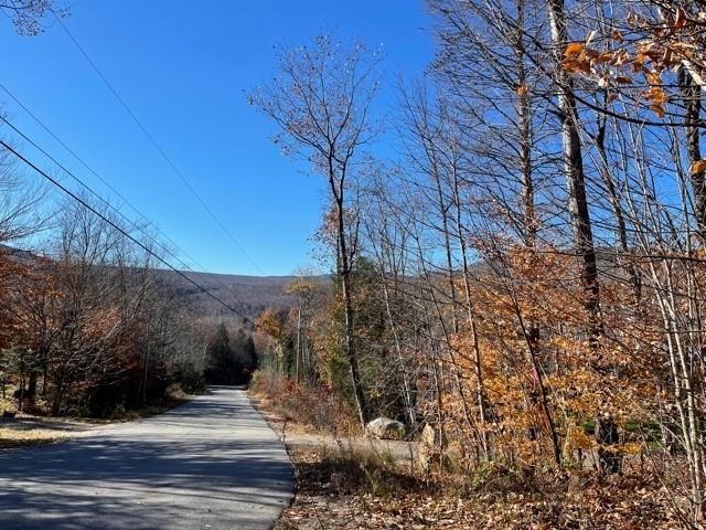 0 Adams Road, Unit 5 Jackson, NH 03846 - Photo 3 of 3
