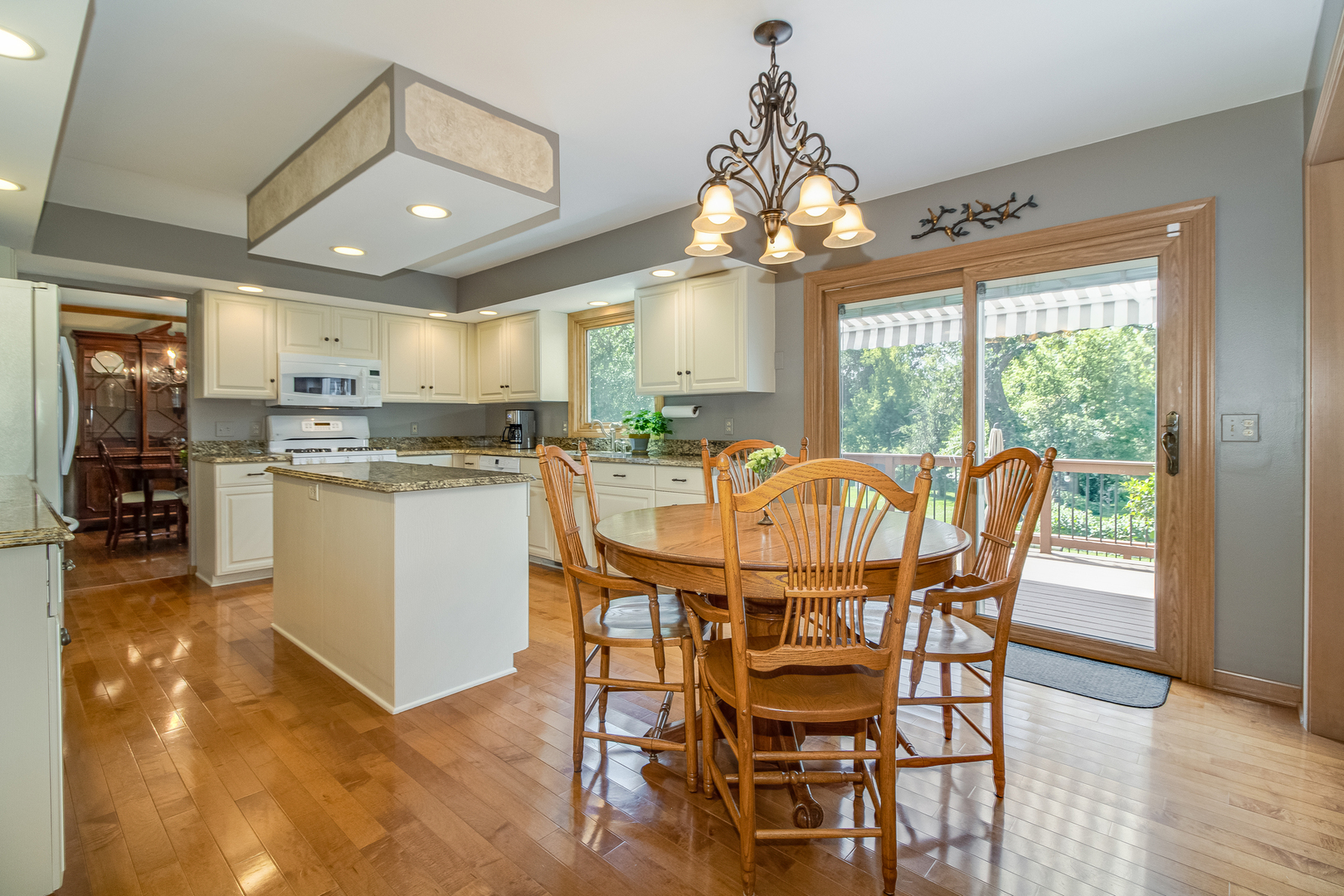 43W461 Scott Road Sugar Grove, IL 60554 - Photo 6 of 40