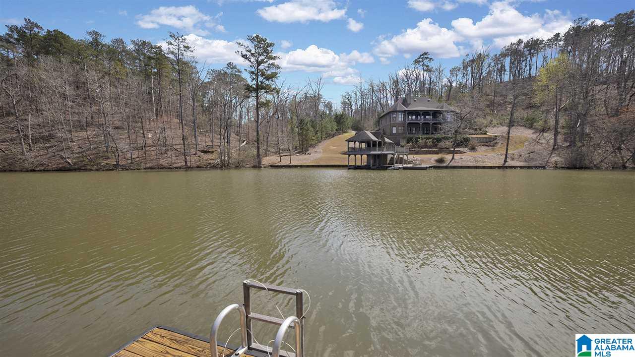 256 Big Y Cv Loop Rockford, AL 35136 - Photo 39 of 50