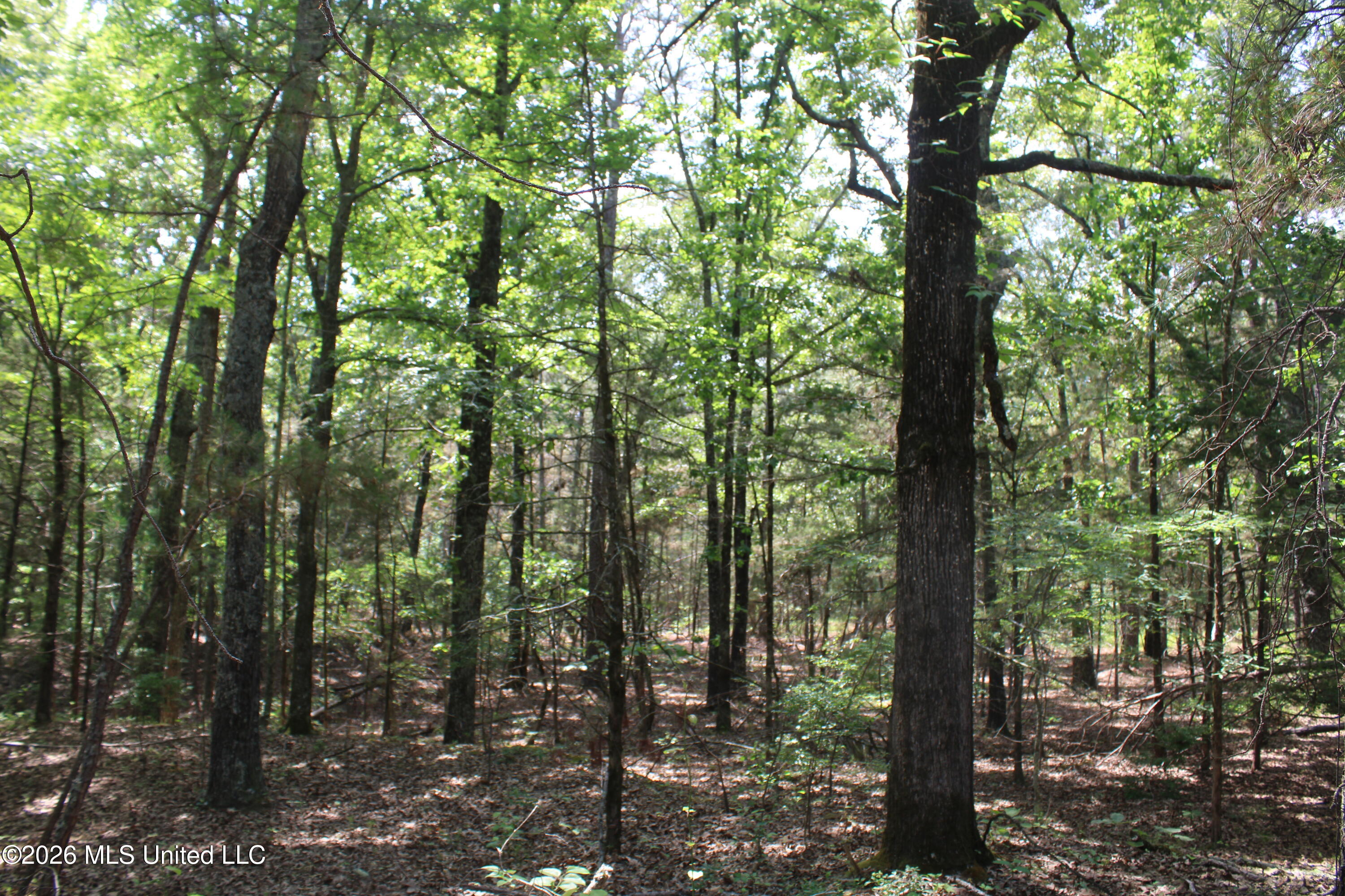 500 Boswell Road Holly Springs, MS 38635 - Photo 10 of 23 IMG_7792