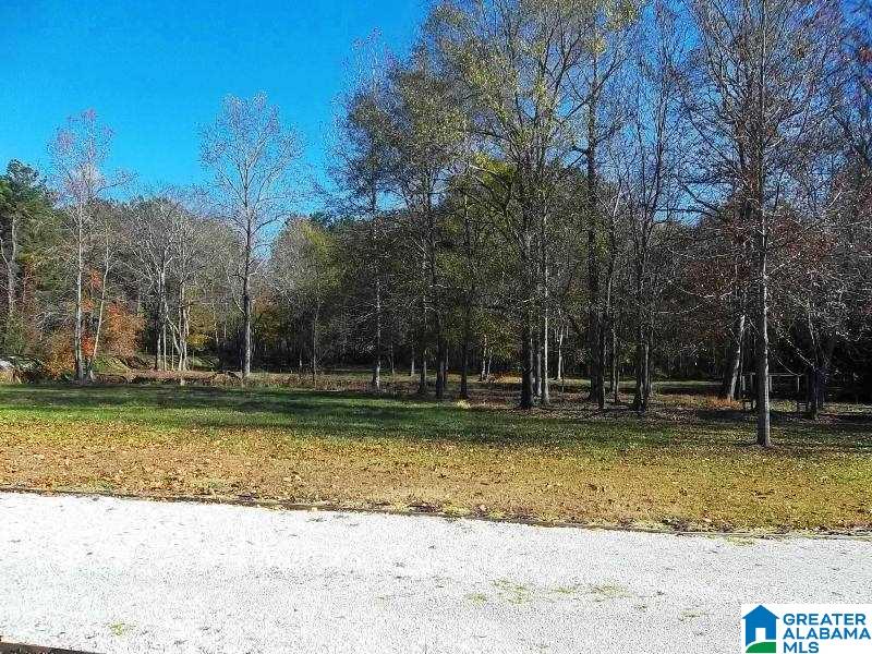 1850 Chapman Road Goodwater, AL 35072 - Photo 19 of 29