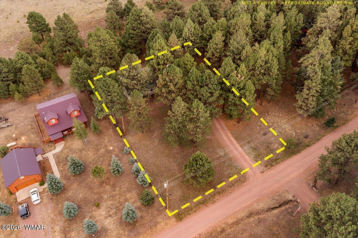 24 Co Road Alpine, AZ 85920 - Photo 32 of 42 Gallery Image 32