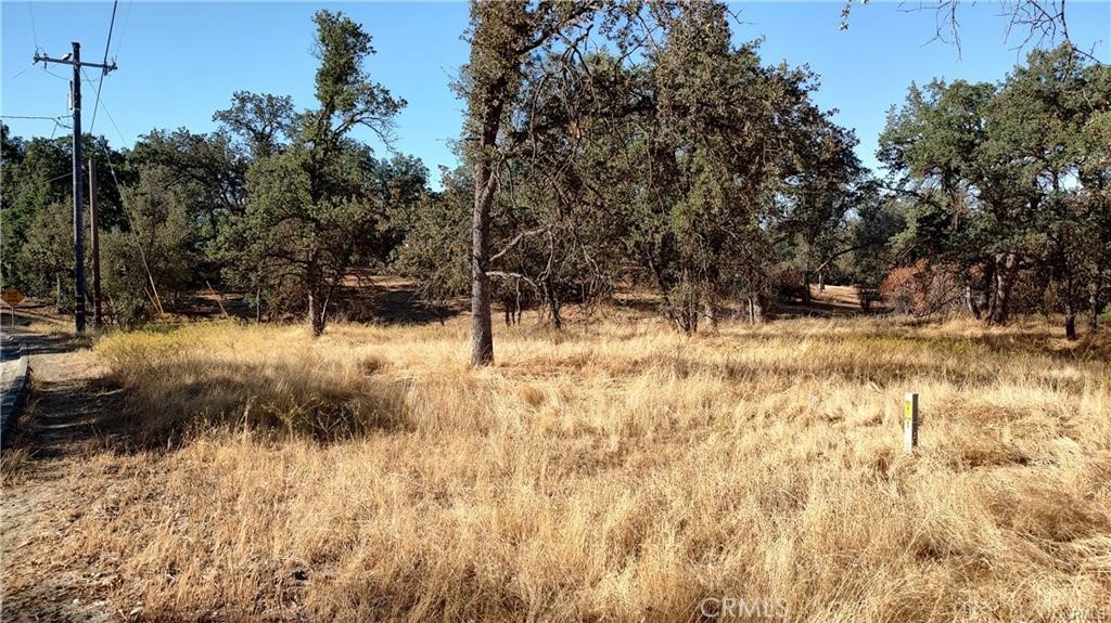 146-lot Revis Road Coarsegold, CA 93614 - Photo 1 of 1 Gallery Image 1