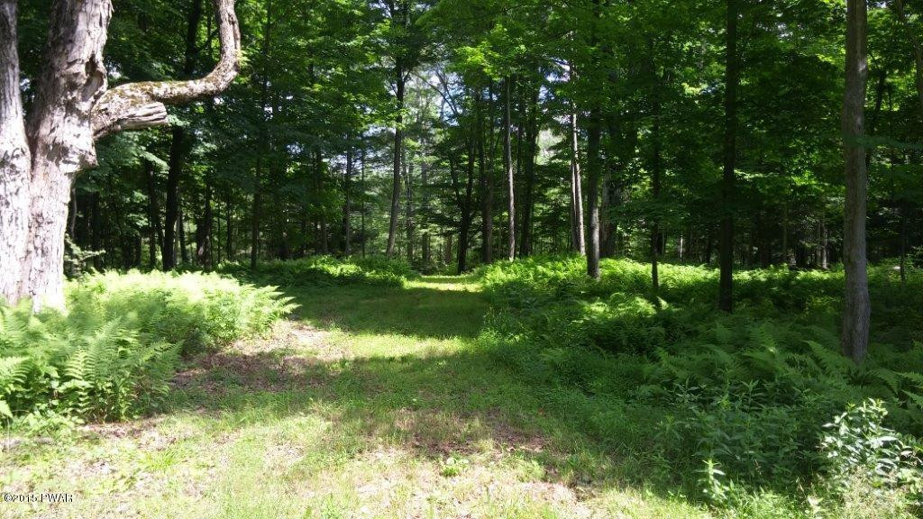 4 Stony Lonesome Road Lake Ariel, PA 18436 - Photo 1 of 12