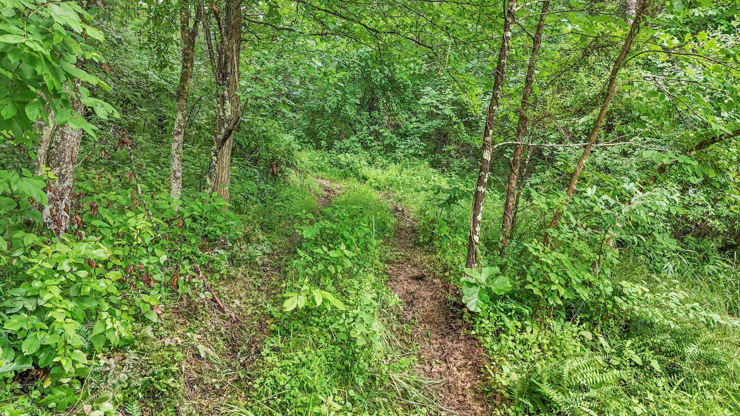 16749 Mush Run Road Athens, OH 45701 - Photo 22 of 37 31-web-or-mls-DJI_20260622123317_0685_D