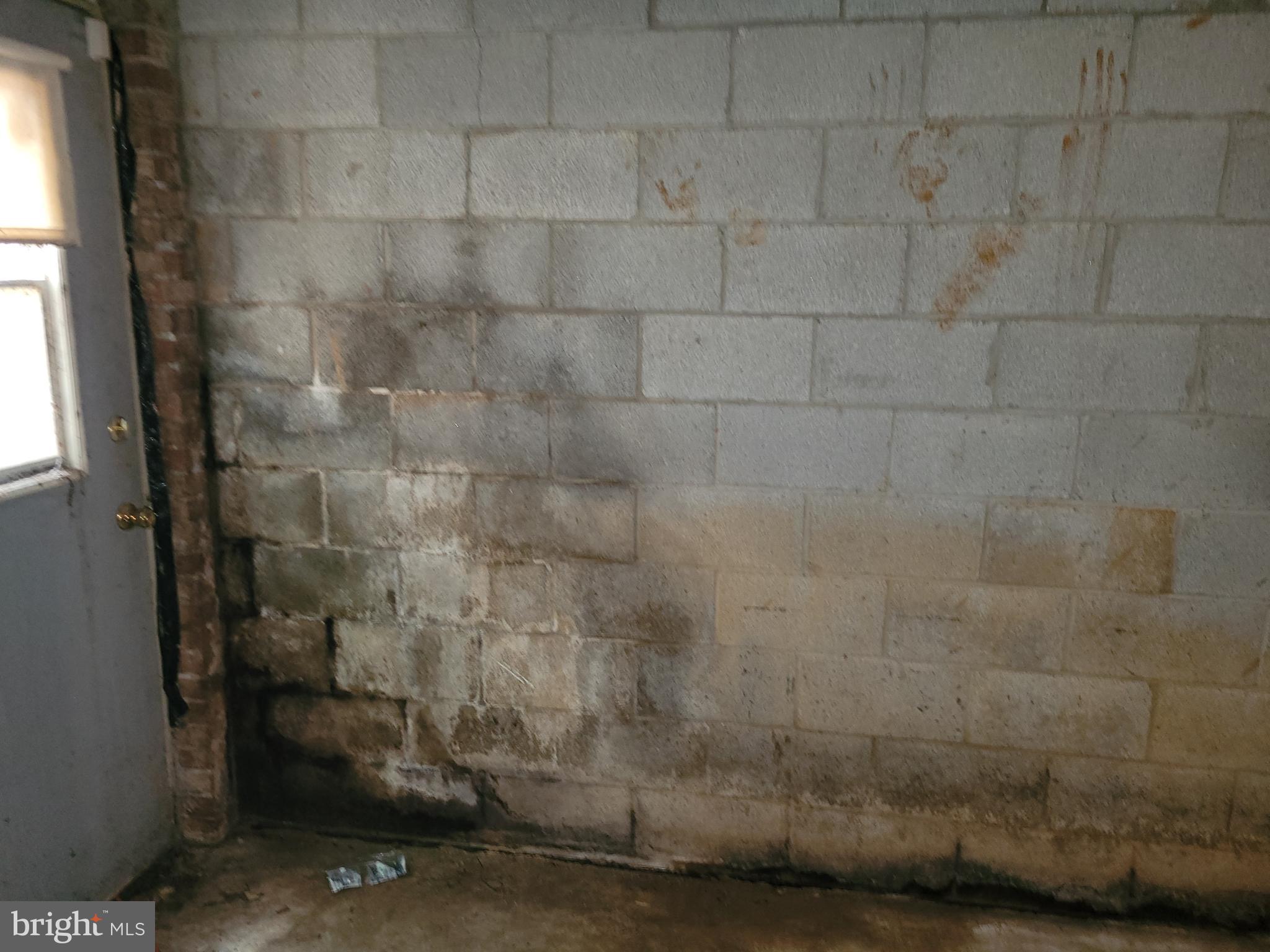 1423 Albert Drive Bowie, MD 20721 - Photo 42 of 47 Possible Mold in Basement