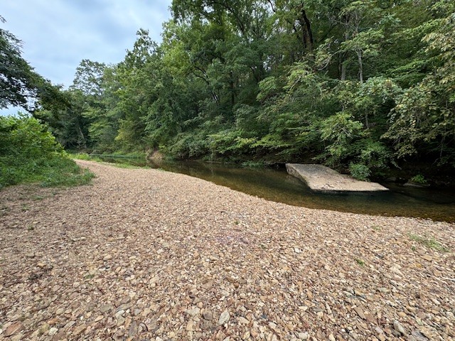 0 Fortyeight Creek Road Waynesboro, TN 38485 - Photo 2 of 10 a view of a yard with plants and trees