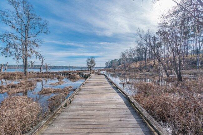 814 Audubon Way Evans, GA 30809 - Photo 70 of 71 075_215_hornsby_ln_075_266