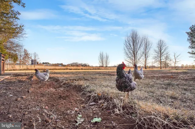 $625,000 | 10245 Anchor Court, Bealeton, VA 22712