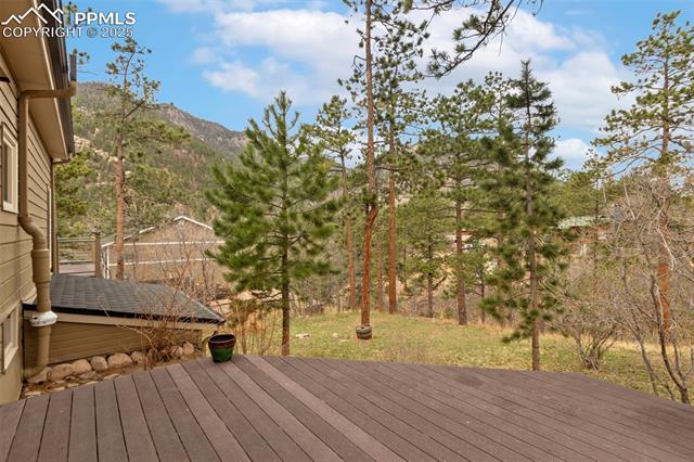 7830 Bluff Road Cascade, CO 80809 - Photo 22 of 32