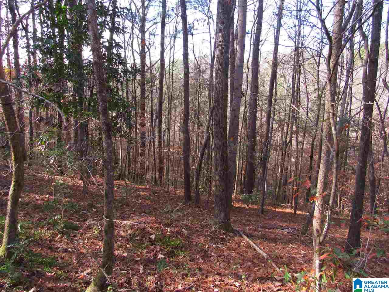 0 Baber Street, Unit 9 7 Heflin, AL 36264 - Photo 3 of 4