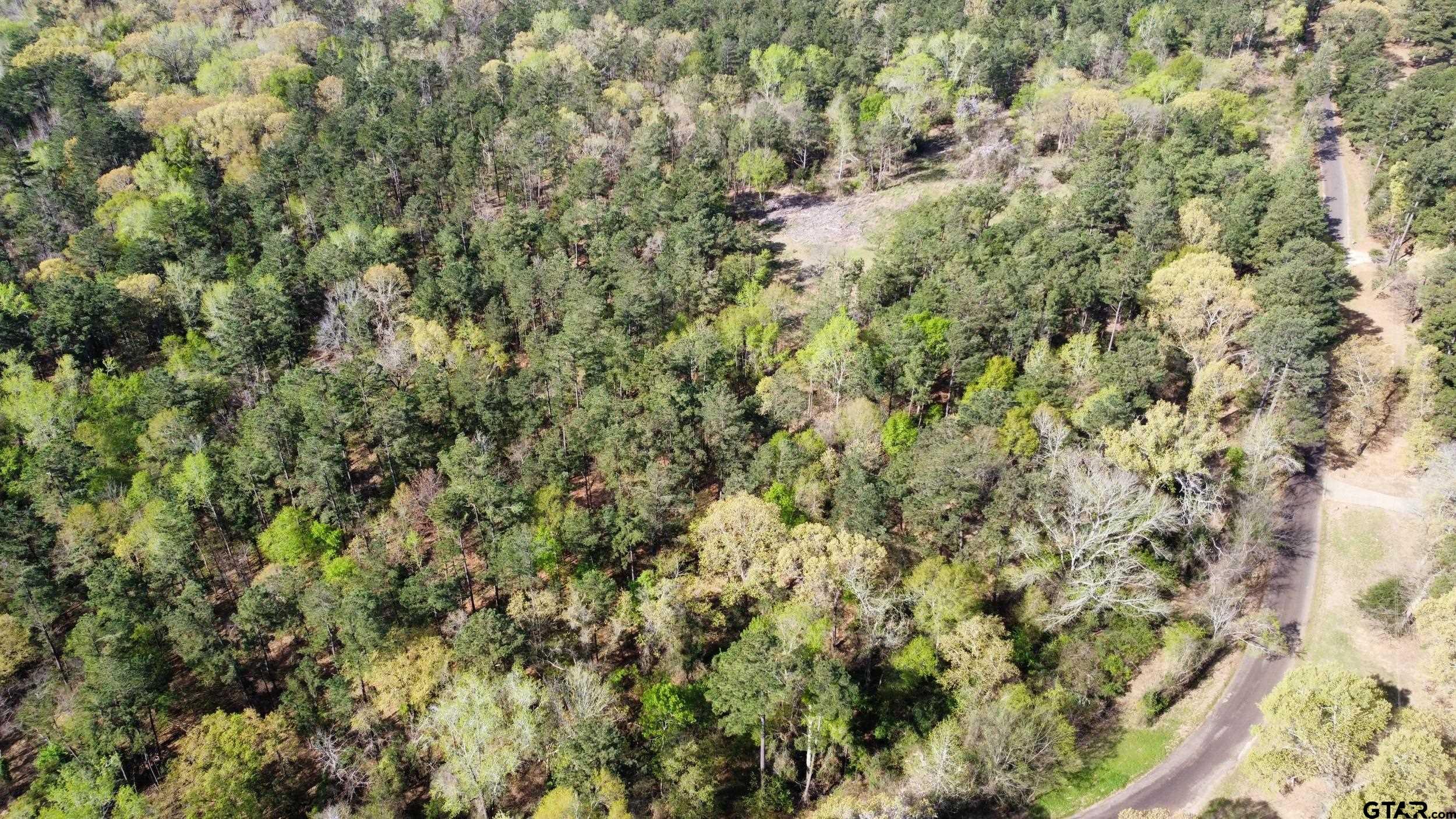 0 C R 434 Lindale, TX 75771 - Photo 25 of 29