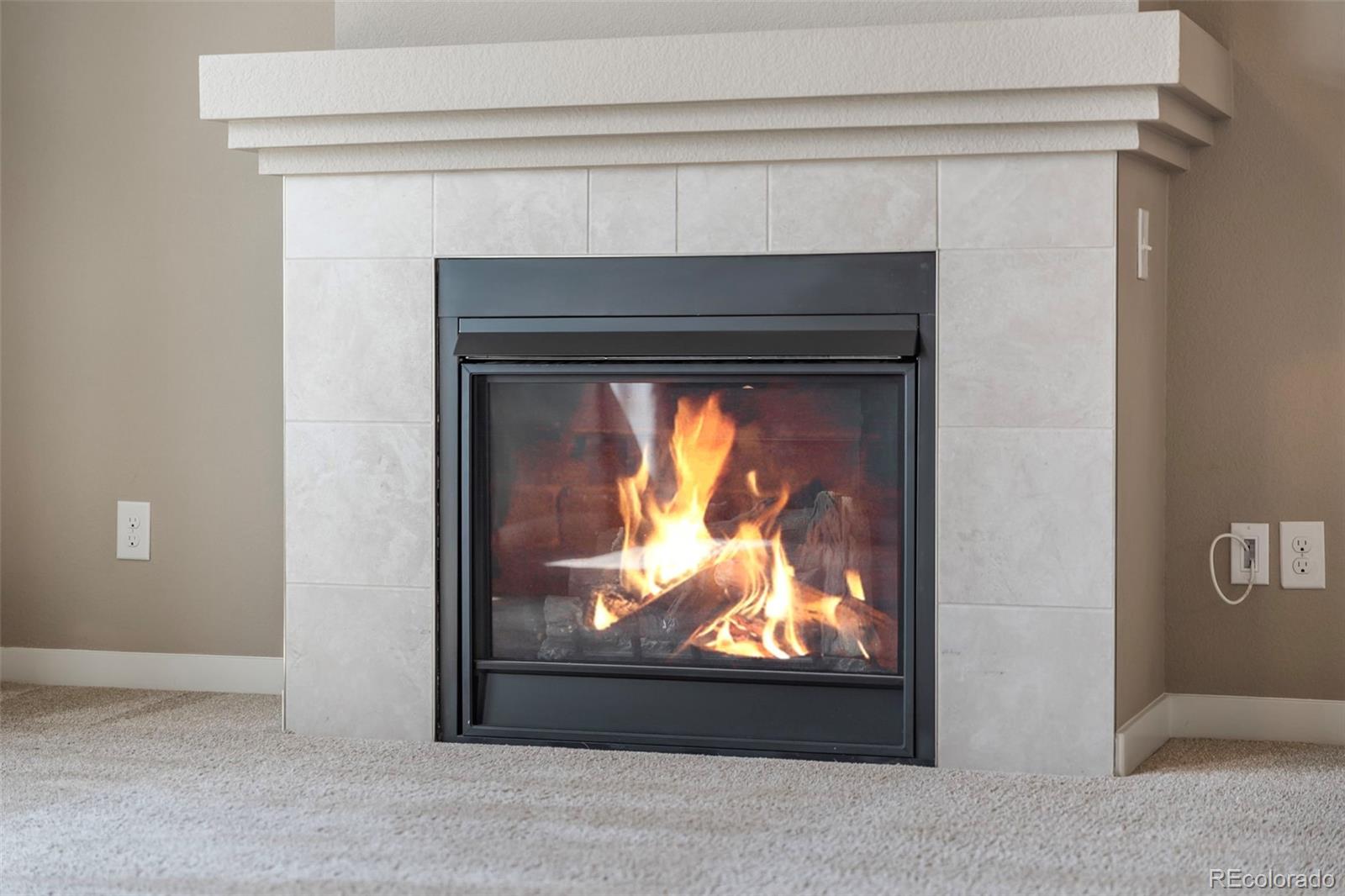 9528 Timberlake Loop Colorado Springs, CO 80927 - Photo 13 of 37 a view of a fireplace