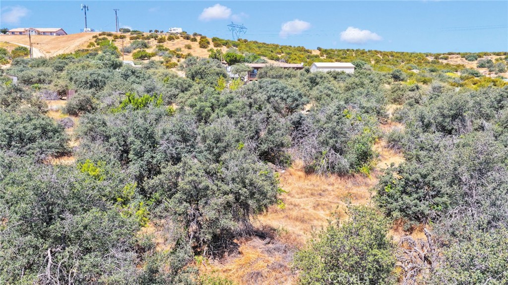 0 Sesame Road Oak Hills, CA 92344 - Photo 8 of 13 a view of a yard