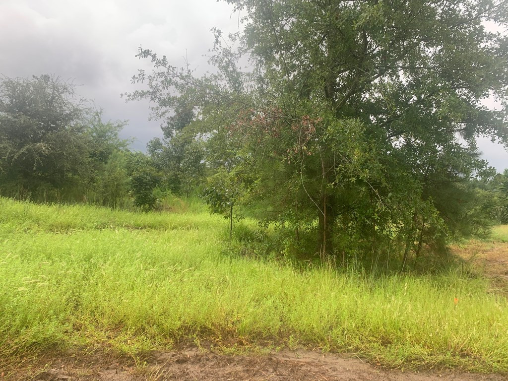 Tbd Tolt Trail Aiken, SC 29801 - Photo 3 of 14