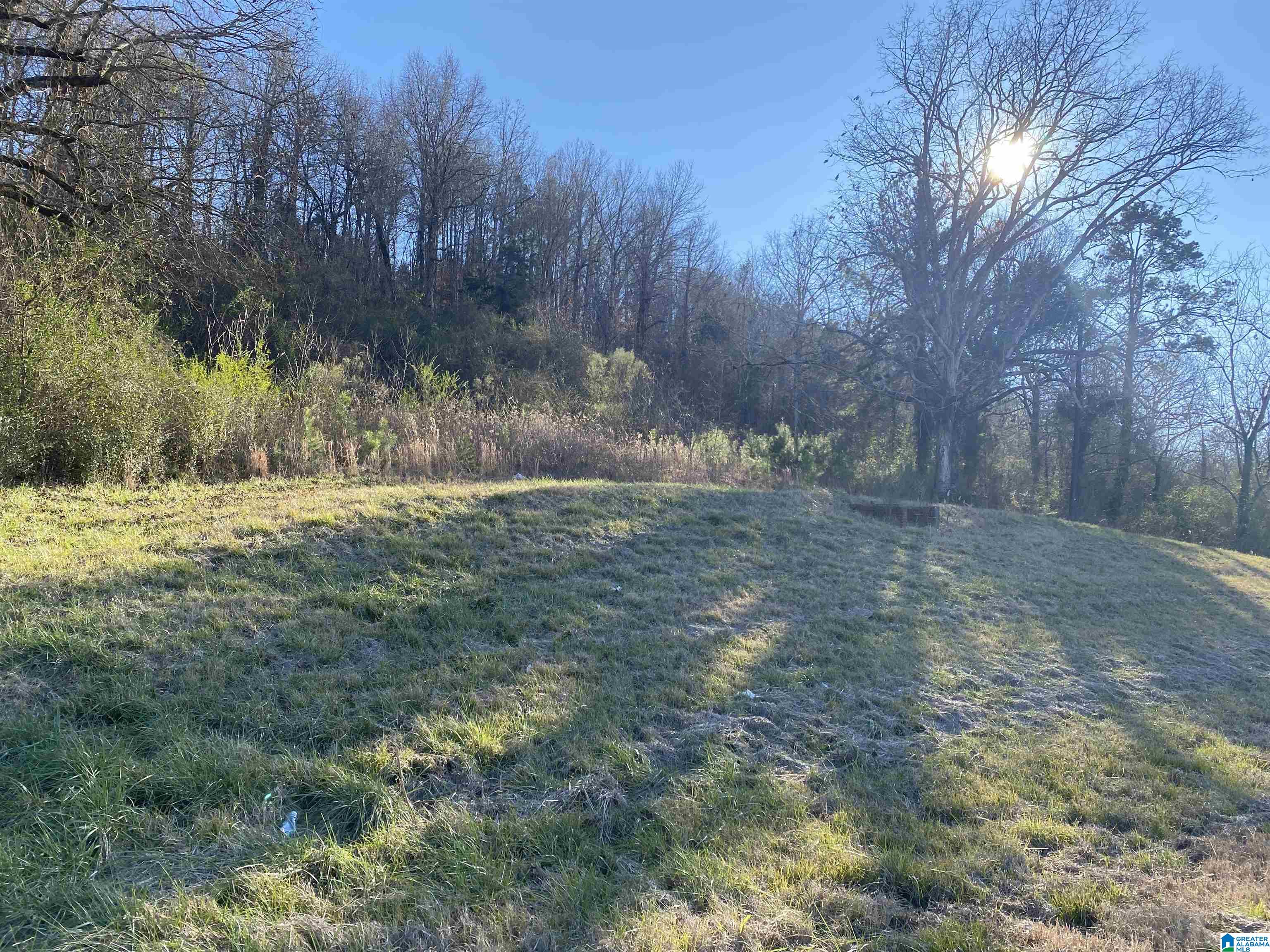 0 Highway 144 Ragland, AL 35131 - Photo 2 of 4