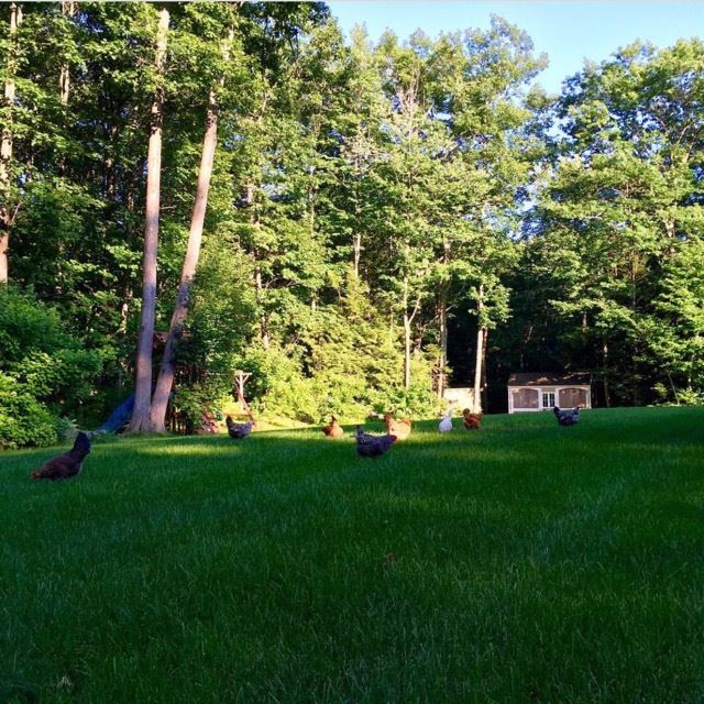 81 Red Gate Road Jaffrey, NH 03452 - Photo 31 of 33