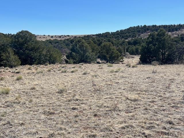 3 B Majors Ranch Road Walsenburg, CO 81089 - Photo 25 of 54