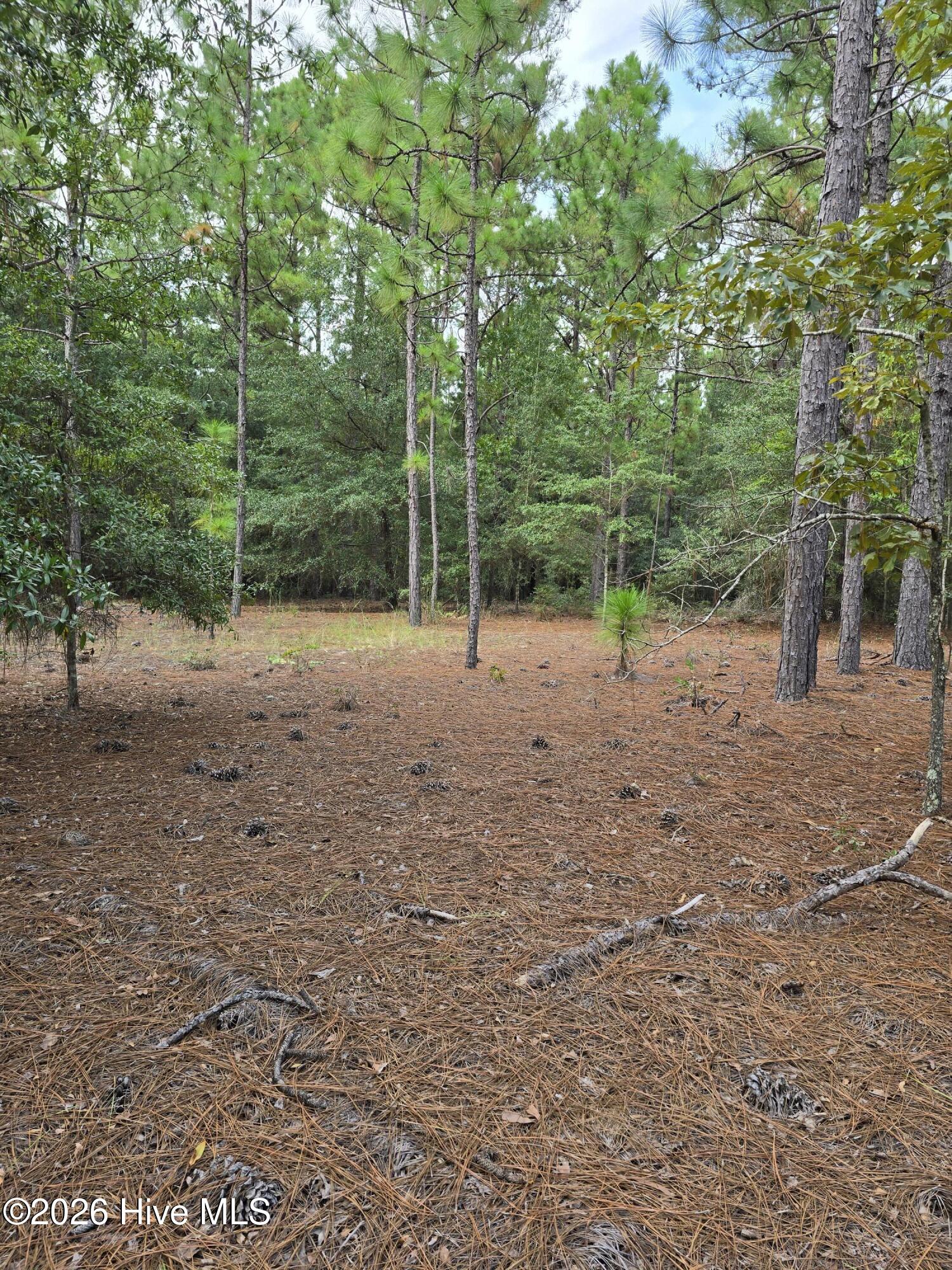 317 R J Johnson Road Martin, SC 29836 - Photo 6 of 8