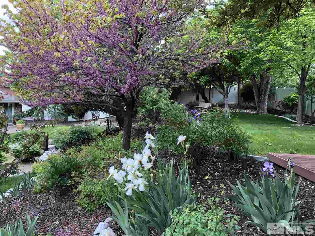 2395 Skyline Boulevard Reno, NV 89509 - Photo 17 of 23 Photo 18