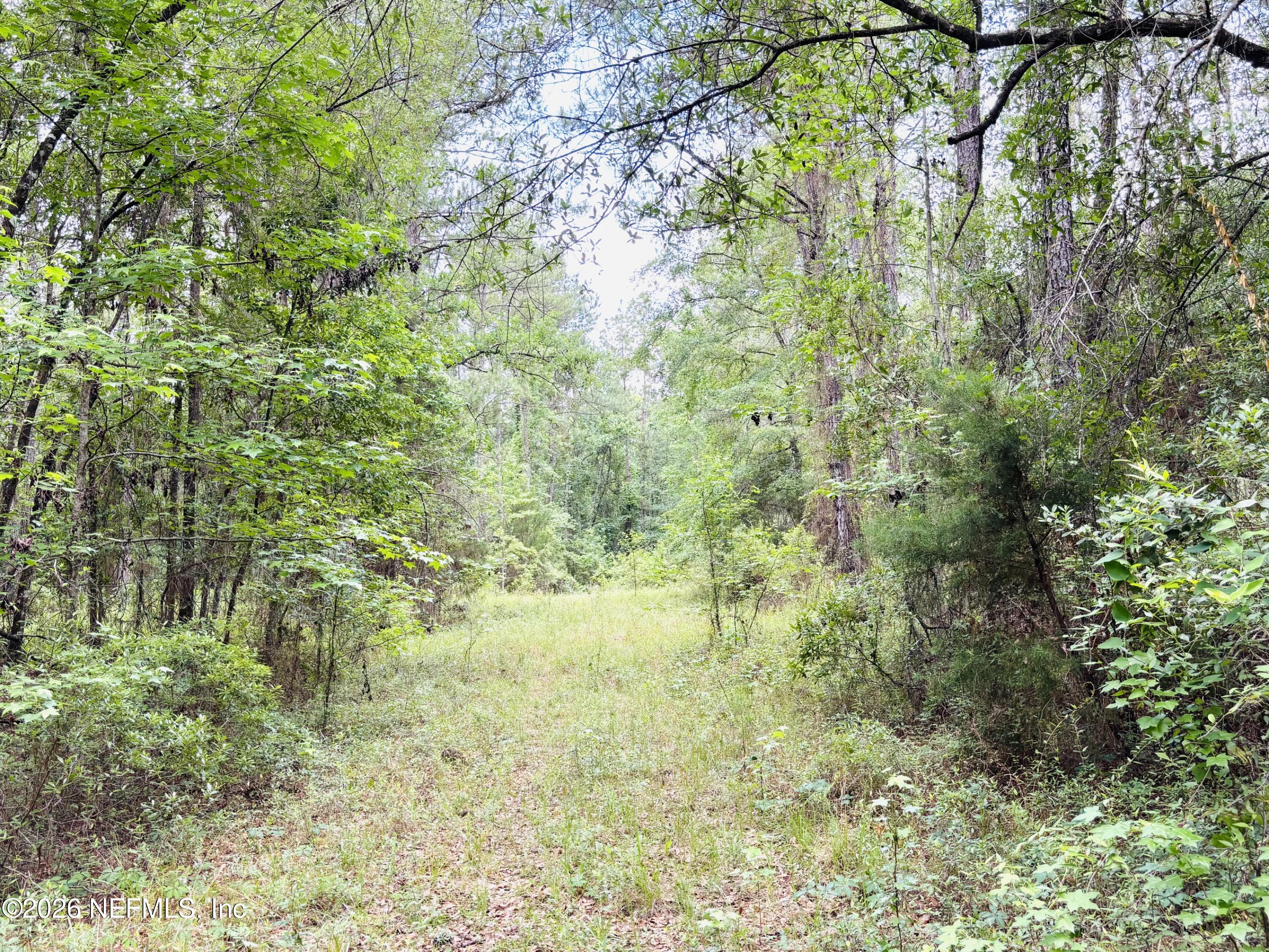 0 Lake Hampton Road Hilliard, FL 32046 - Photo 10 of 23 a view of a garden