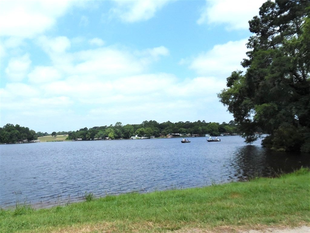 12-tbd Deer Path Murchison, TX 75778 - Photo 12 of 20 Gallery Image 12