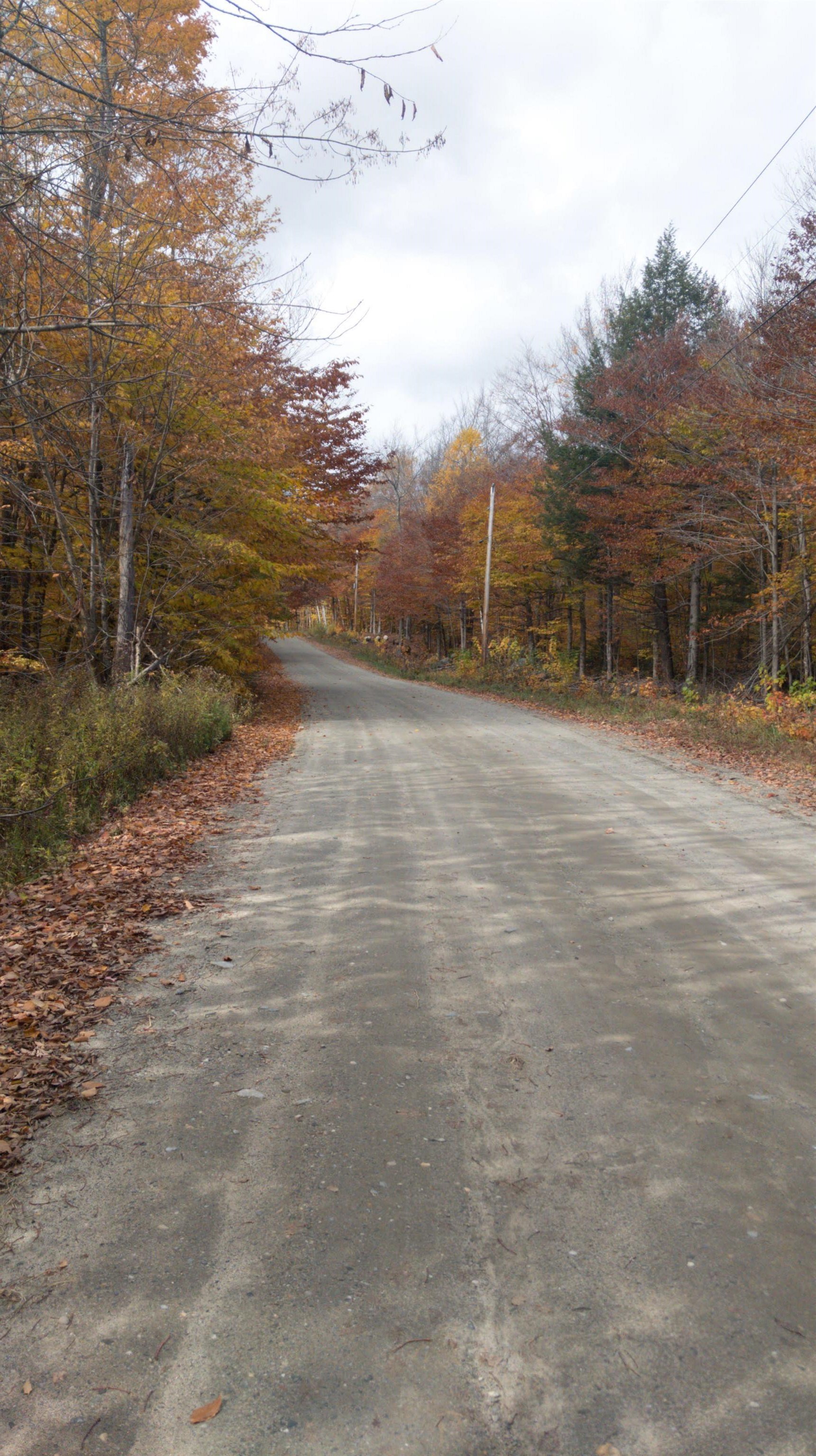 0 North Bear Swamp Road, Unit 4 Worcester, VT 05682 - Photo 11 of 14