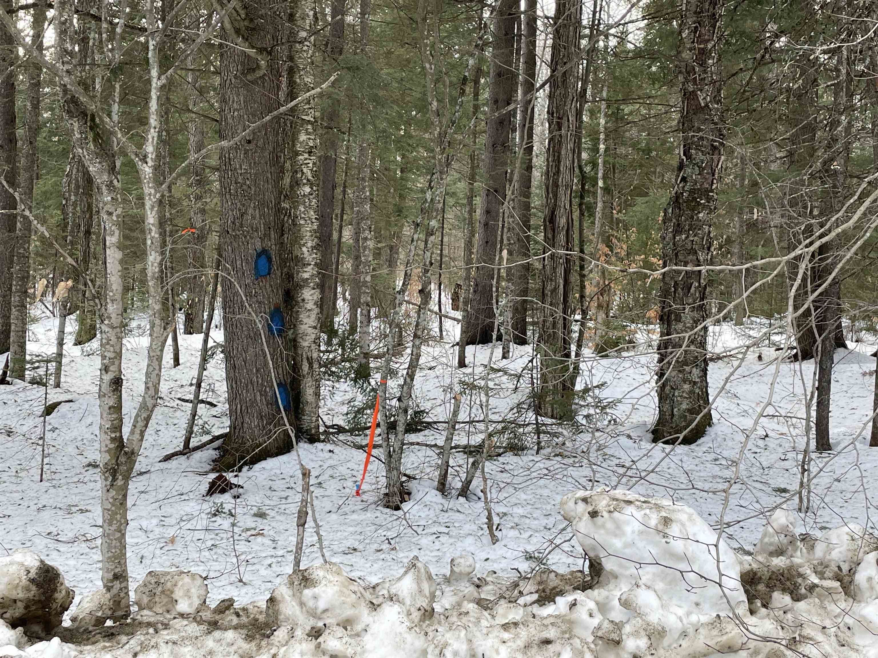 0 North Bear Swamp Road, Unit 4 Worcester, VT 05682 - Photo 2 of 14