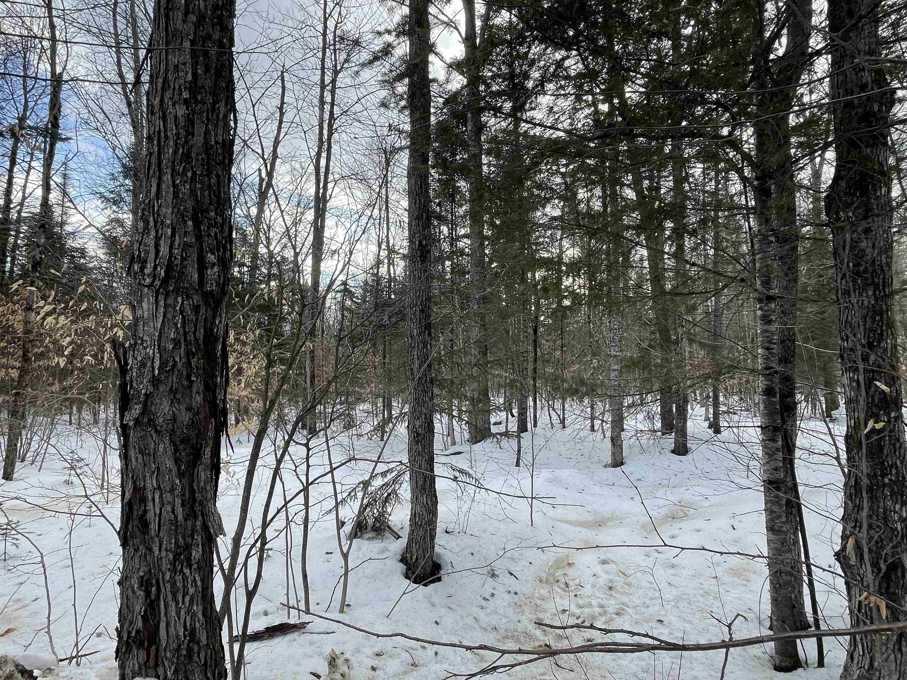 0 North Bear Swamp Road, Unit 4 Worcester, VT 05682 - Photo 3 of 14