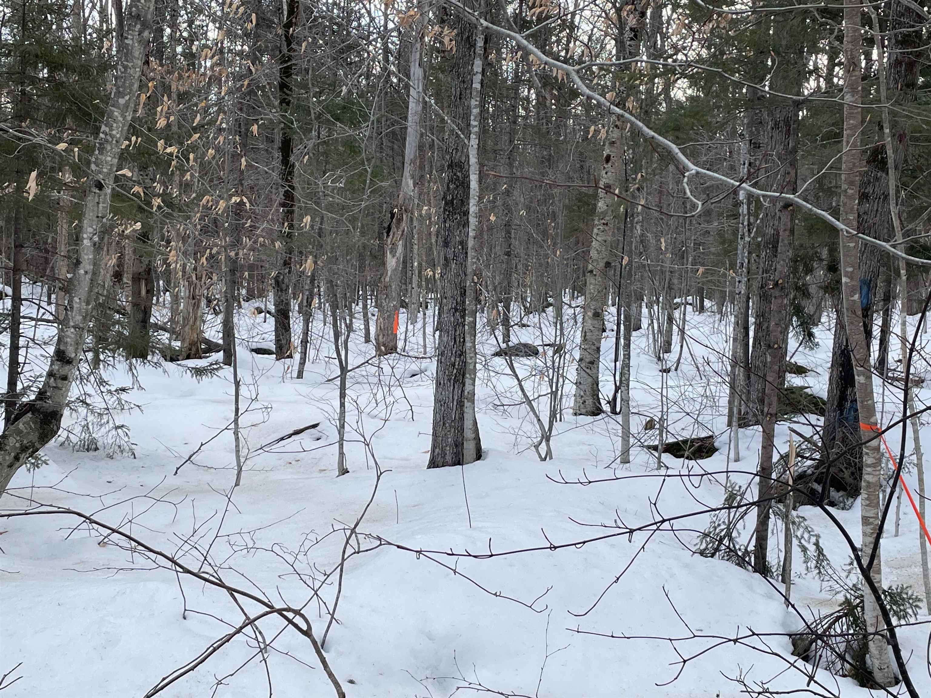 0 North Bear Swamp Road, Unit 4 Worcester, VT 05682 - Photo 4 of 14