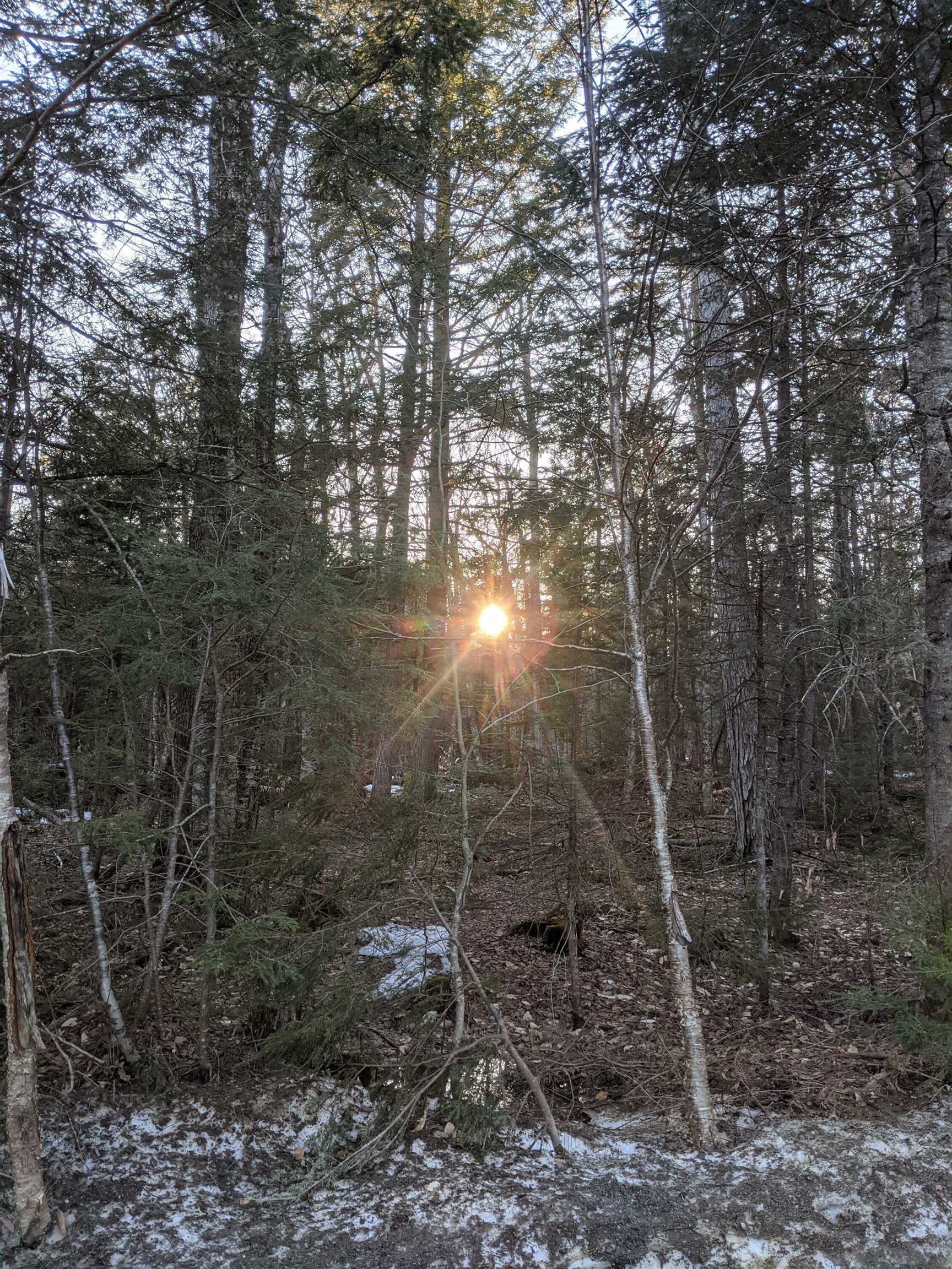 0 North Bear Swamp Road, Unit 4 Worcester, VT 05682 - Photo 10 of 14
