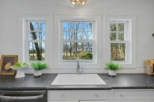 a kitchen with a potted plant on the counter and a window