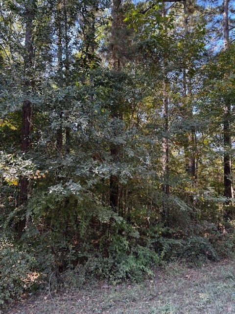 0 County Road 2175 Cleveland, TX 77327 - Photo 3 of 6