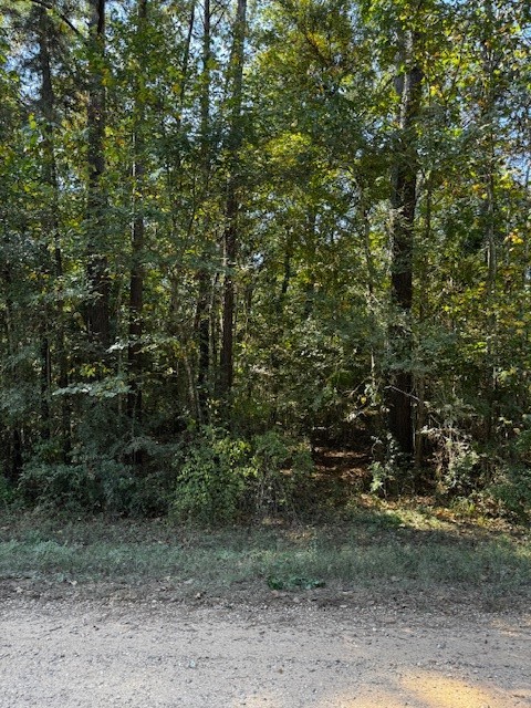 0 County Road 2175 Cleveland, TX 77327 - Photo 4 of 6