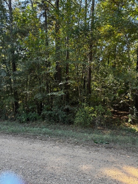0 County Road 2175 Cleveland, TX 77327 - Photo 5 of 6